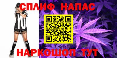 дживик Нягань